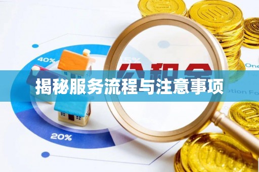 楠西揭秘服务流程与注意事项