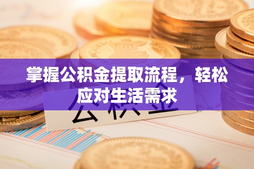楠西掌握公积金提取流程，轻松应对生活需求
