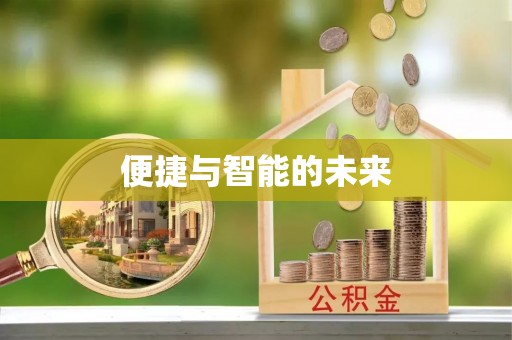 楠西便捷与智能的未来