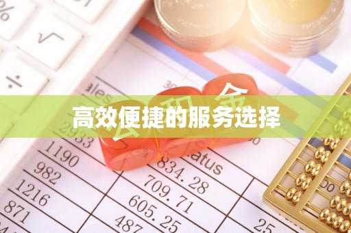 楠西高效便捷的服务选择